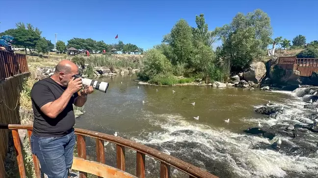 Van Kültür Yolu Festivali Yarın Başlıyor