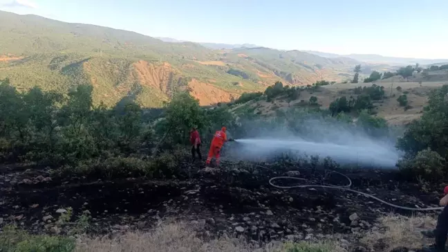 Bingöl'de çıkan orman yangını ekipler tarafından söndürüldü