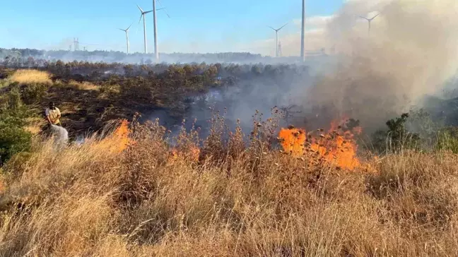 Çanakkale'de Orman Yangını: Ekipler Havadan ve Karadan Müdahale Ediyor