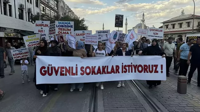 Konya'da Başıboş Köpek Sorununa 'Dur' De Etkinliği Düzenlendi