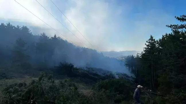 Kastamonu'da Yüksek Gerilim Hattından Kaynaklanan Yangın Kontrol Altına Alındı