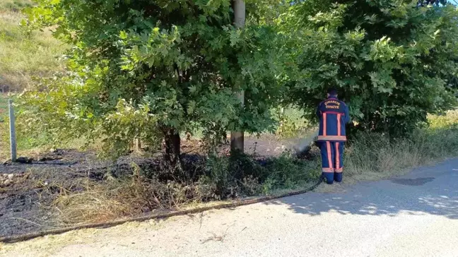 Yalova'da çıkan arazi yangını söndürüldü