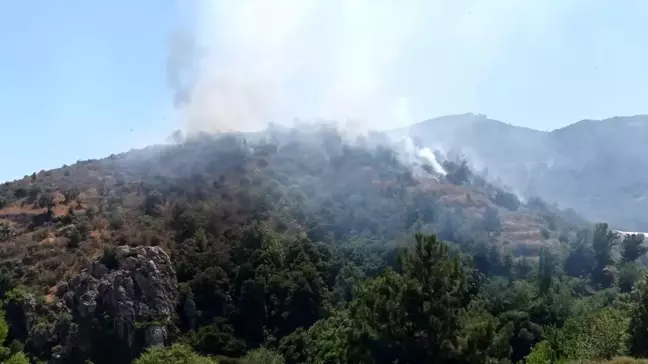 Mersin Anamur'da Orman Yangını: Havadan ve Karadan Müdahale Başladı