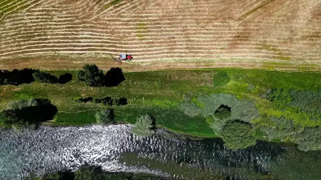 Bayburt'ta Yem Bitkisi Hasadı Devam Ediyor