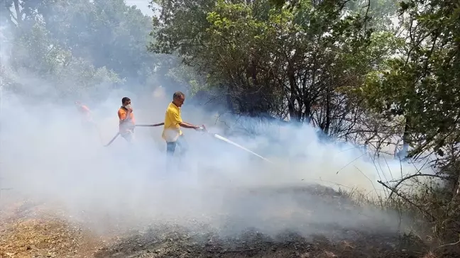 Balıkesir'deki yangın söndürme çalışmaları devam ediyor