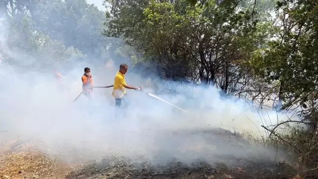 Balıkesir'de çıkan yangın ormana sıçradı