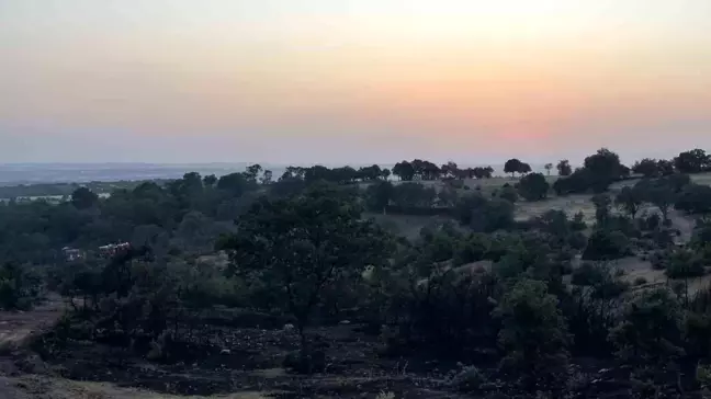 Uşak'ın Sivaslı ilçesinde çıkan yangın söndürüldü