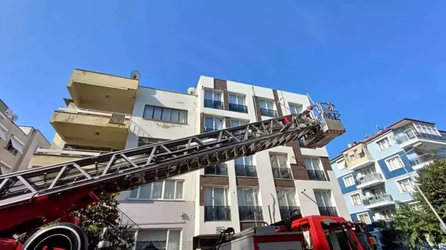 Aydın'da Sıkışan Kumru İtfaiye ve Polis Ekiplerini Harekete Geçirdi