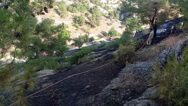 Kahramanmaraş'ta Ormanlık Alanda Çıkan Yangın Söndürüldü