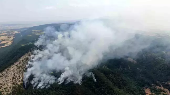 Kastamonu'da çıkan orman yangınına dron ile müdahale