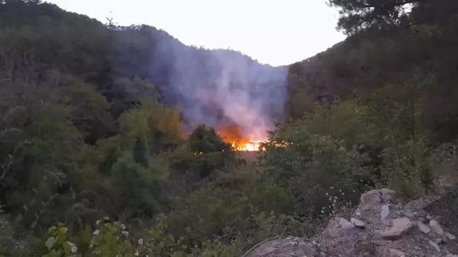 Feke'deki Meyve Bahçesinde Çıkan Yangın Söndürüldü