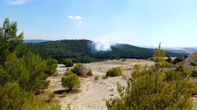 Balıkesir'in Bigadiç ilçesinde ormanlık alanda yangın çıktı