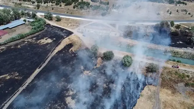 Isparta'da sazlık yangını kontrol altına alındı