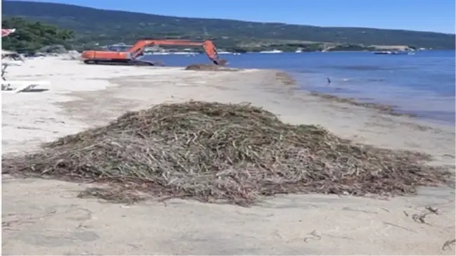 Erdek'te Deniz Çayırları Söküldü, Kepçe Operatörüne Cezai İşlem Uygulandı