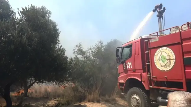 Manavgat'ta çöplük yangını tarım arazilerine zarar verdi