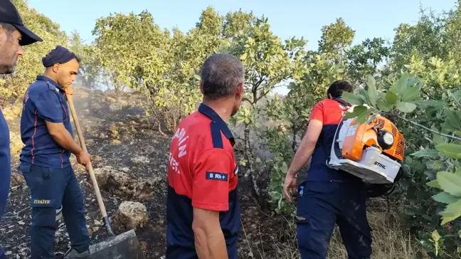 Mardin'de Kırsalda Çıkan Yangın Kontrol Altına Alındı