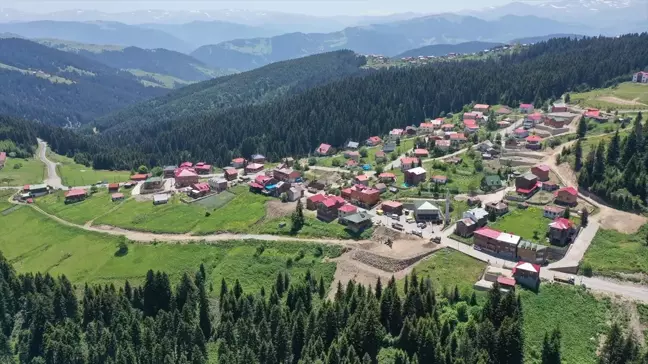 Giresun'un Dereli ilçesine bağlı Kulakkaya Yaylası doğaseverlerin ilgisini çekiyor