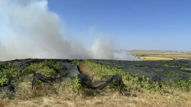 Çorlu'da Anız Yangını Söndürüldü