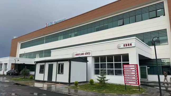 Bayburt'ta hayvanları otlatırken yıldırım isabet eden çocuk hayatını kaybetti