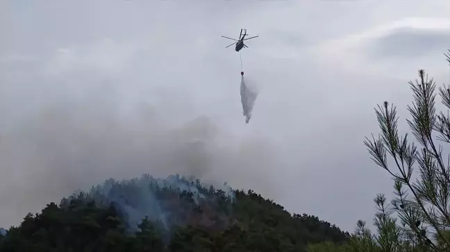 Karabük'te ormanlık alanda çıkan yangın kontrol altına alındı