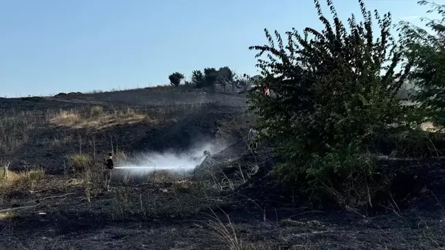 Beylikdüzü'nde otluk alanda çıkan yangın söndürüldü