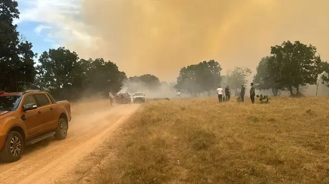 Edirne'nin Lalapaşa ilçesinde ormanlık alanda yangın çıktı