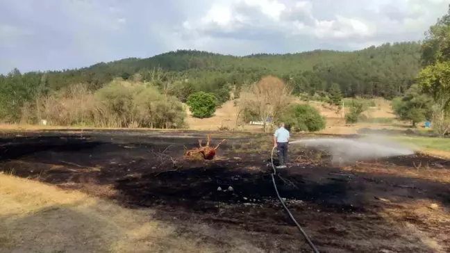 Emet'te Mangal Ateşiyle Çıkan Yangında 2 Dönüm Ekili Alan Zarar Gördü