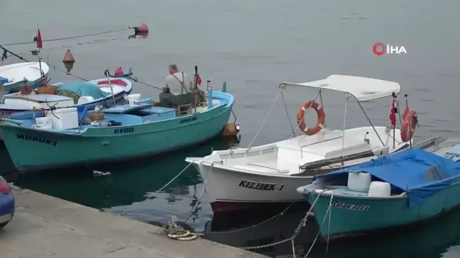 Yeni av sezon öncesinde palamudun görüntü vermesi balıkçıları umutlandırdı