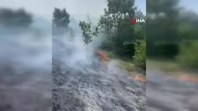 Samsun'da yangın sonucu 25 dönüm arazi hasar gördü