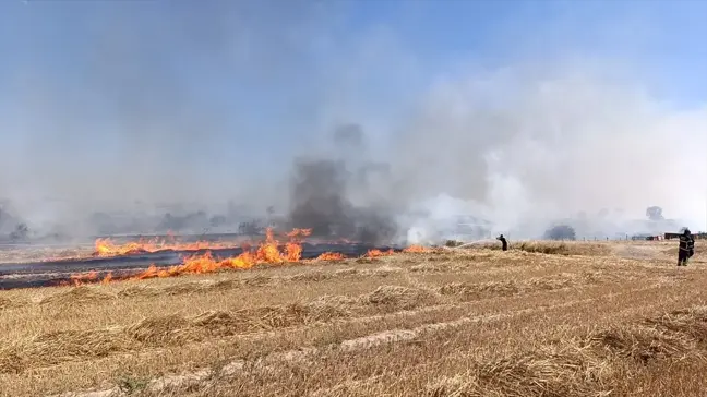 Tekirdağ'ın Saray ilçesinde anız yangını söndürüldü