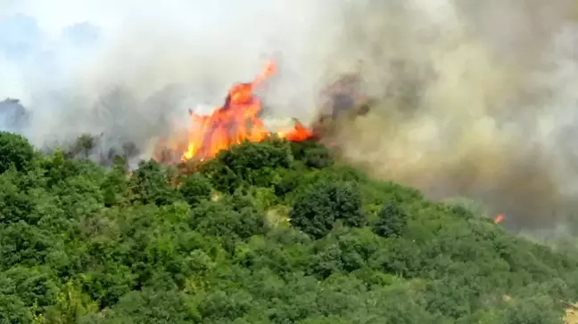 Çanakkale'de Orman Yangını Kontrol Altına Alındı