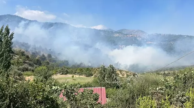 Hatay'ın Belen ilçesinde ormanlık alanda çıkan yangın kontrol altına alındı