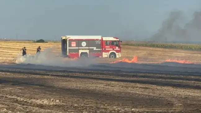 Çorlu'da çıkan anız yangını söndürüldü