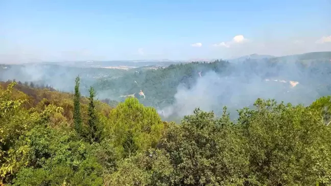 Balıkesir'de Orman Yangını Devam Ediyor