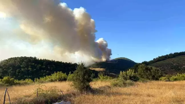 Çanakkale'de 300 Hektarlık Orman Yangını Kontrol Altına Alındı