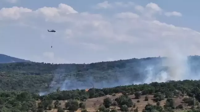 Bursa'da Orman Yangınına 2 Helikopterle Müdahale Ediliyor