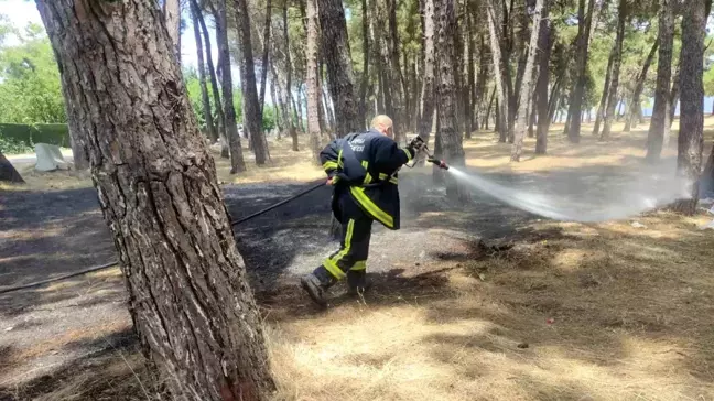 Orhangazi'de İznik Gölü sahilinde çamlık tesislerinde yangın çıktı