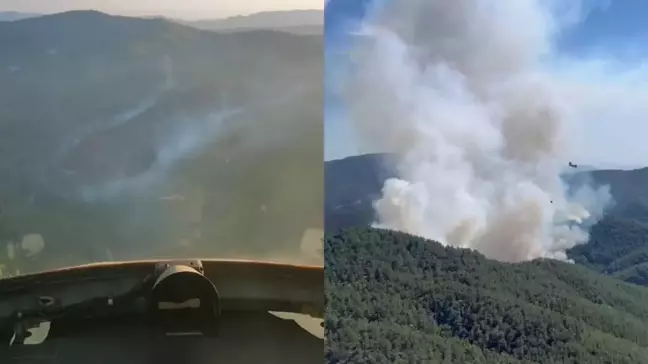 İzmir Bergama'da orman yangını söndürüldü mü, son durum nedir? İzmir Bergama'da orman yangını nerede çıktı?