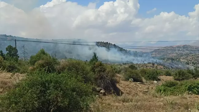 Yahyalı'da Orman Yangını Kontrol Altına Alınmaya Çalışılıyor