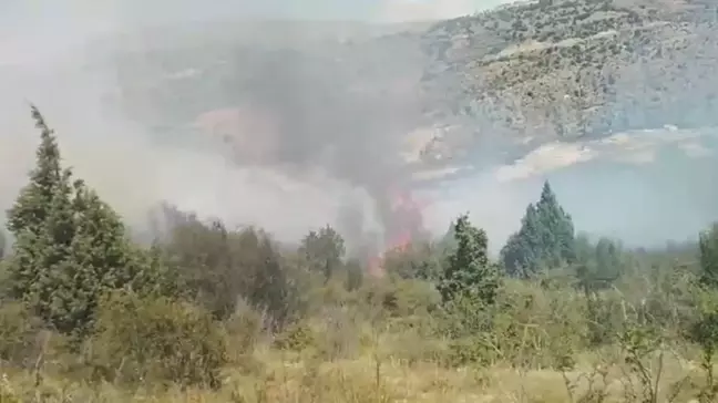 Yahyalı'da Ormanda Çıkan Yangın Söndürüldü