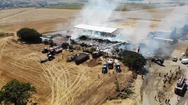 Tekirdağ'da çiftlikte çıkan yangında 15 bin balya saman yandı