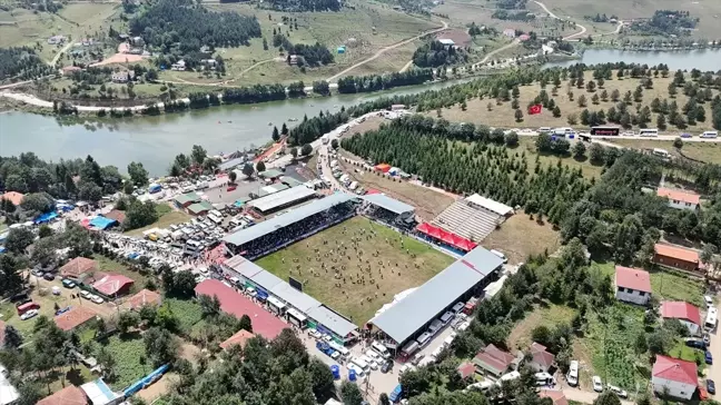 Ordu'da Yağlı Güreş ve Kültür Festivali Düzenlendi