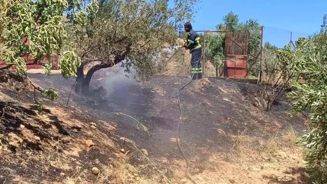 Hatay'ın Belen ilçesinde bahçede çıkan ot yangını söndürüldü