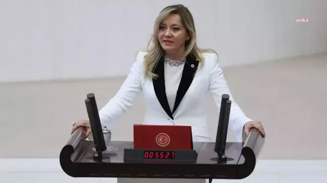 İYİ Parti Isparta Milletvekili Aylin Cesur Partiden İstifa Etti