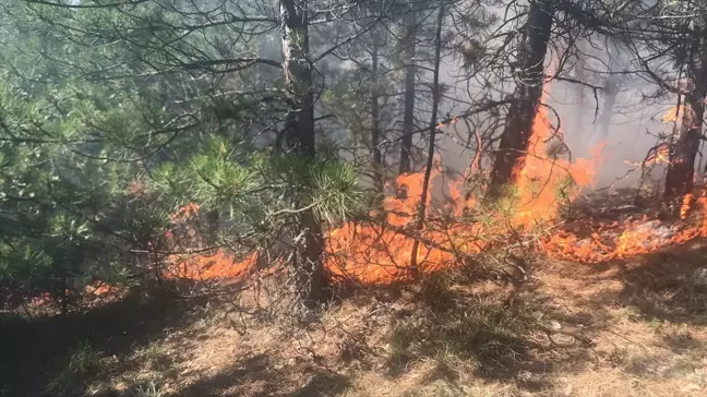 Karabük'te Orman Yangını Söndürme Çalışmaları Başlatıldı