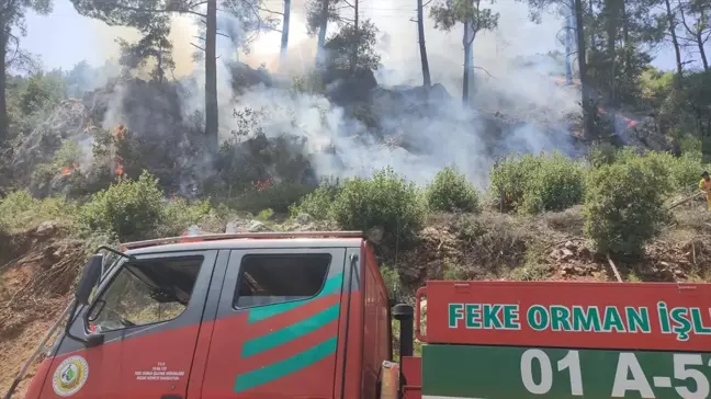 Adana'nın Feke ilçesinde ormanlık alanda çıkan yangına müdahale sürüyor