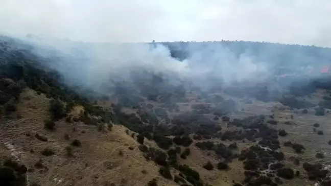 Afyonkarahisar Şuhut'ta Orman Yangını