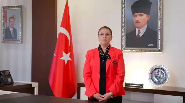 Bartın Valisi: Cankurtaranların bulunduğu plajları tercih edin