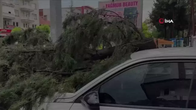 Burdur'da fırtınada kırılan ağaç aracın üzerine devrildi