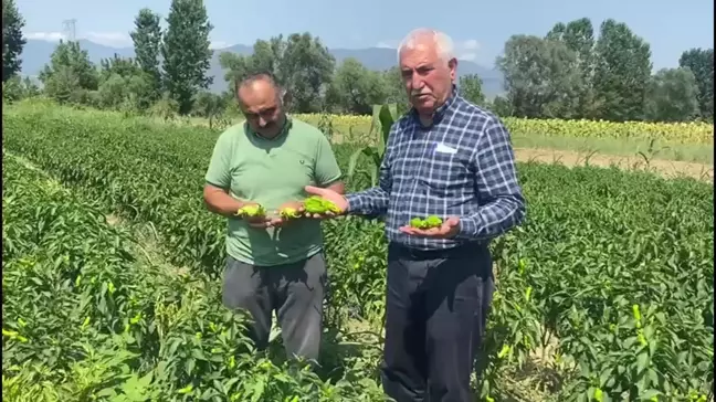 Çiftçilerin Sorunları Gündeme Geldi